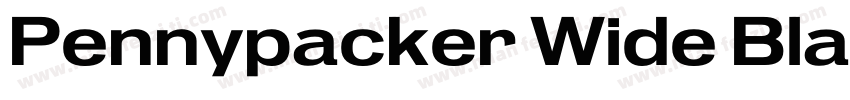 Pennypacker Wide Black字体转换